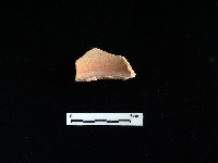 藏品(陶片)的圖片