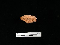 藏品(陶片)的圖片