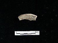 藏品(陶片)的圖片