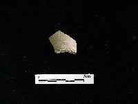 藏品(陶片)的圖片