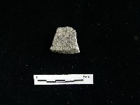 藏品(陶片)的圖片