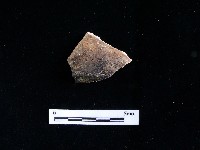 藏品(硬陶蓋)的圖片