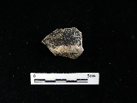 藏品(硬陶蓋)的圖片