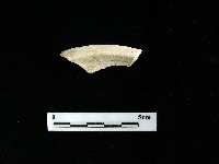 藏品(壺蓋)的圖片