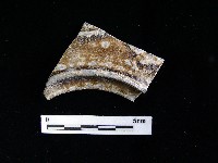 藏品(陶壺)的圖片