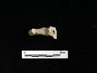 藏品(壺嘴)的圖片