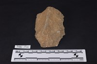 藏品(斧鋤形器)的圖片