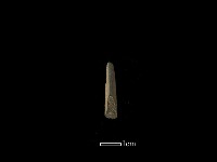 藏品(矛鏃形器)的圖片