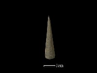 藏品(矛鏃形器)的圖片