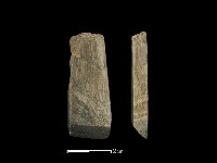 藏品(錛鑿形器)的圖片