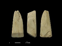 藏品(錛鑿形器)的圖片