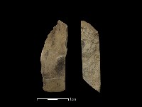 藏品(錛鑿形器)的圖片