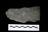 藏品(戈形器)的圖片