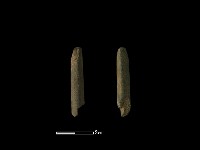 藏品(尖器)的圖片