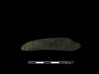 藏品(網墜)的圖片