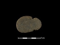 藏品(網墜)的圖片