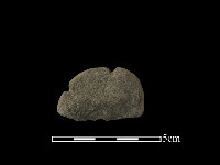 藏品(網墜)的圖片