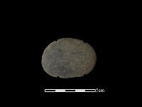 藏品(網墜)的圖片