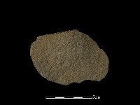 藏品(石片器)的圖片