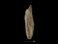 藏品(間接打擊棒)的圖片