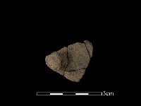 藏品(陶蓋鈕)的圖片