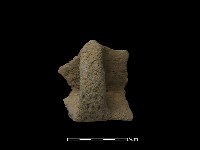 藏品(陶耳)的圖片