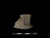 藏品(陶耳)的圖片