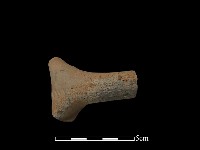 藏品(陶把)的圖片