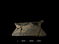 藏品(豆形器)的圖片