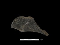 藏品(陶罐)的圖片