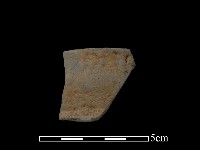 藏品(陶片)的圖片