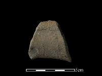 藏品(陶片)的圖片