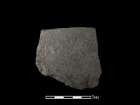 藏品(陶片)的圖片