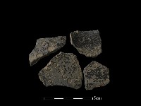 藏品(陶片)的圖片