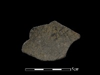 藏品(陶片)的圖片