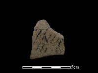 藏品(陶片)的圖片