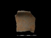 藏品(陶片)的圖片