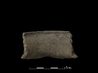 藏品(陶片)的圖片