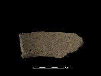 藏品(陶片)的圖片