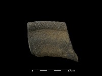 藏品(陶片)的圖片