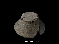 藏品(陶片)的圖片