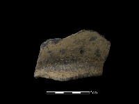 藏品(陶片)的圖片