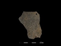 藏品(陶片)的圖片