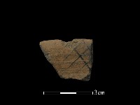 藏品(陶片)的圖片