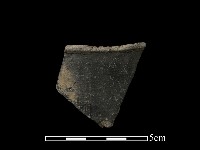 藏品(陶片)的圖片