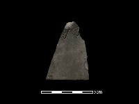 藏品(陶片)的圖片