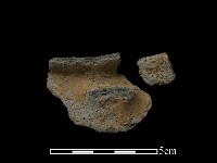 藏品(陶片)的圖片