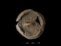 藏品(陶蓋)的圖片