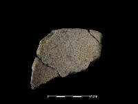 藏品(陶缽)的圖片