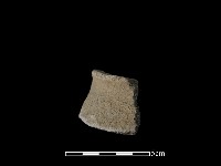 藏品(陶片)的圖片